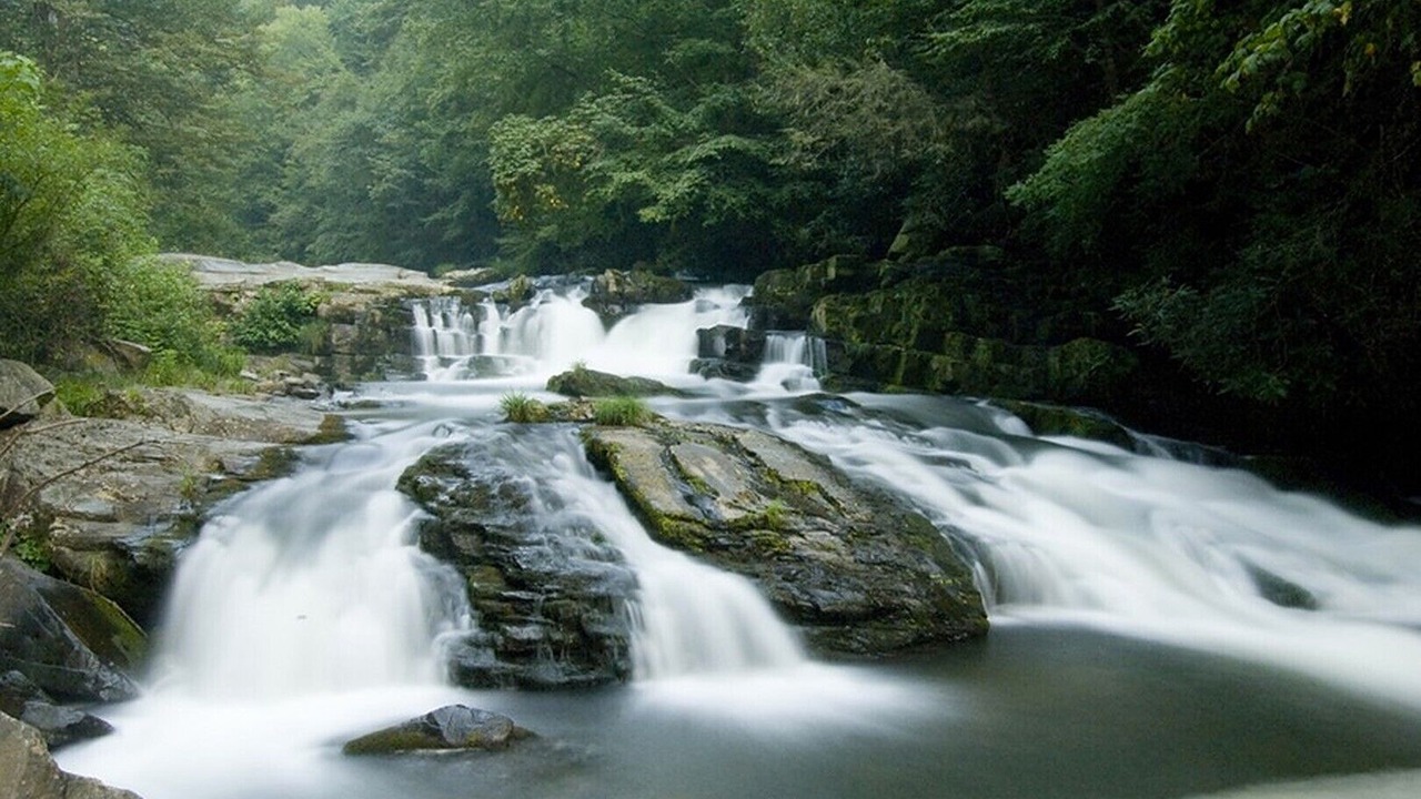 Photo of Outdoor in Topton