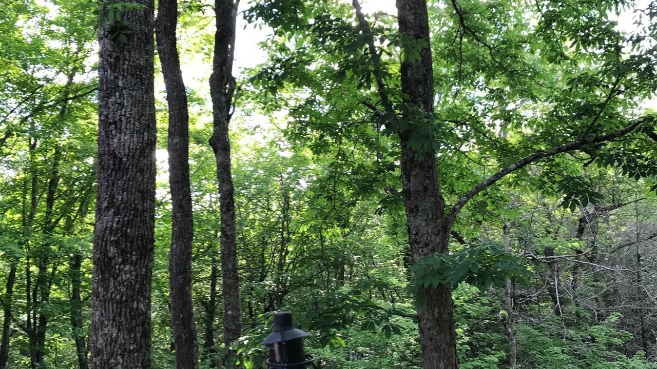 Photo of Outdoor in Charter Hills