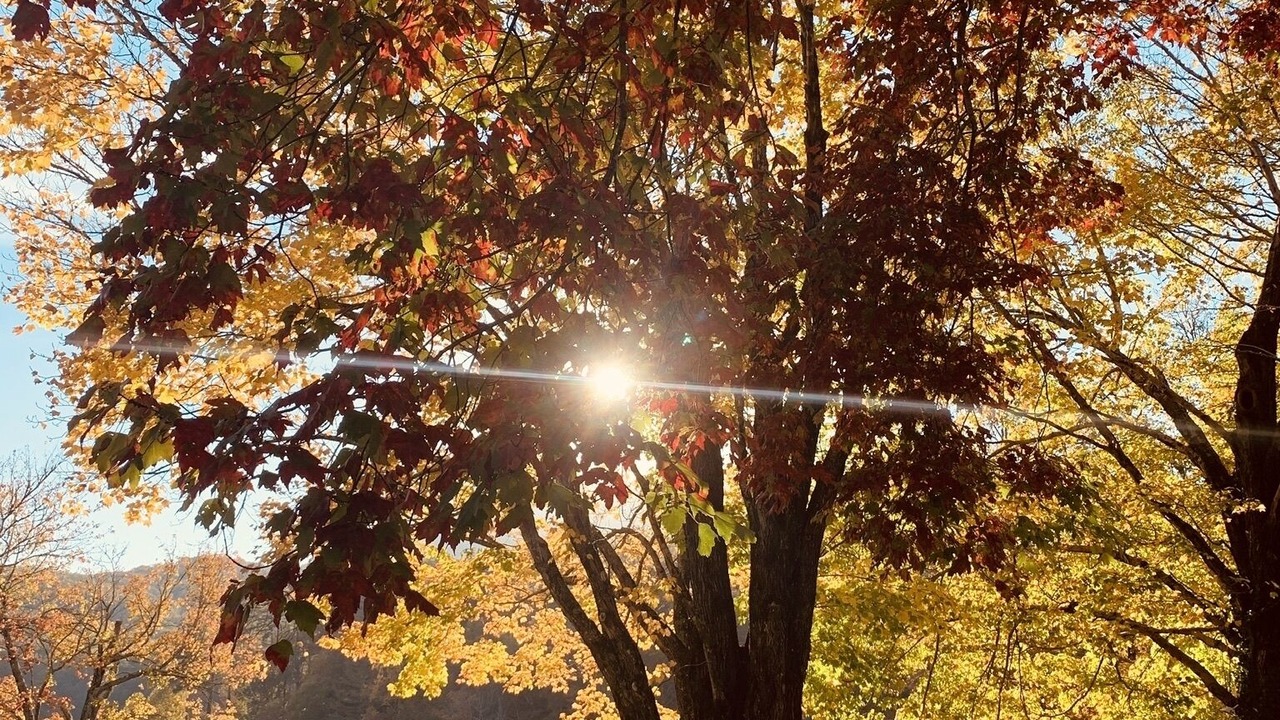 Photo of Others in Lake Toxaway