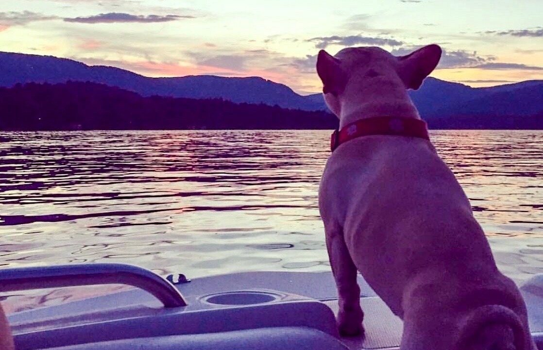 Photo of Others in Lake Toxaway