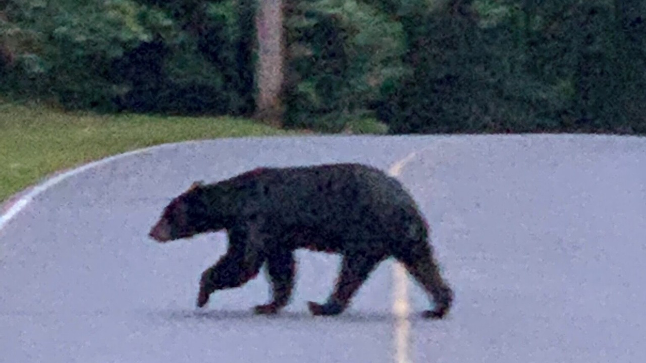 Photo of Others in Lake Toxaway