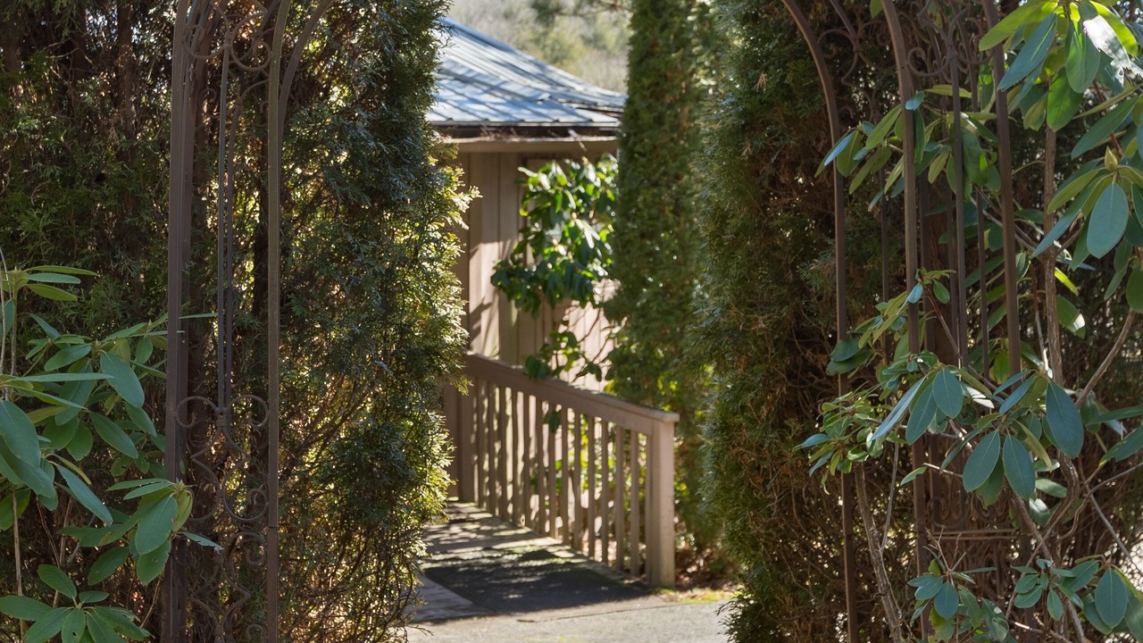 Photo of Outdoor in Fairview