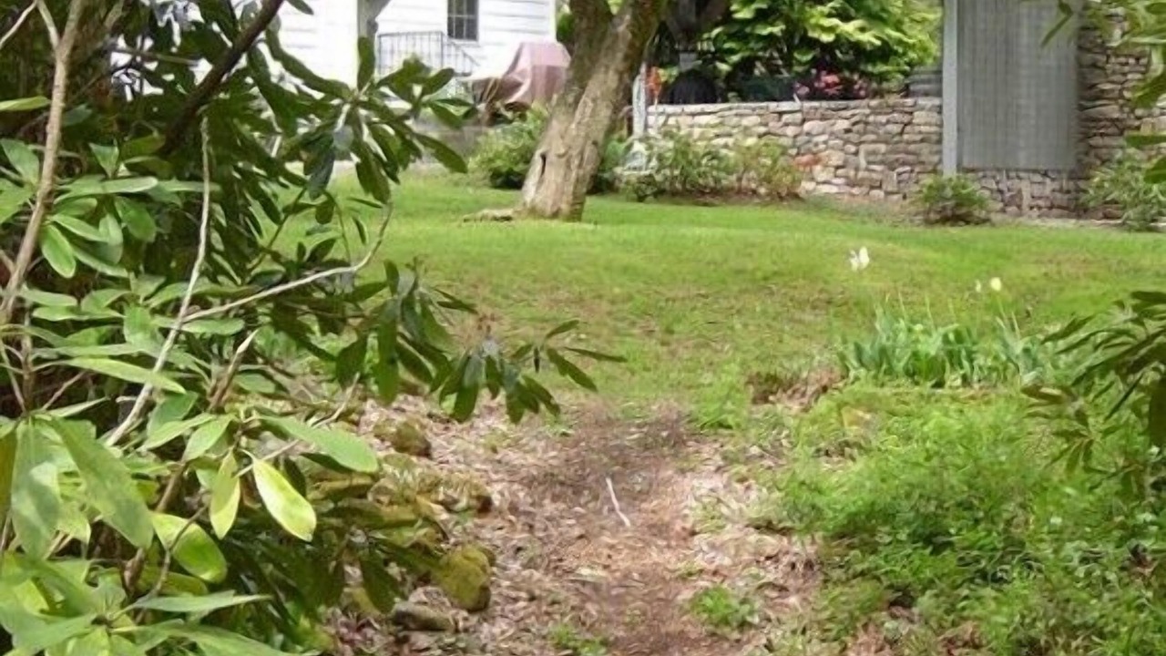 Photo of Others in Candler