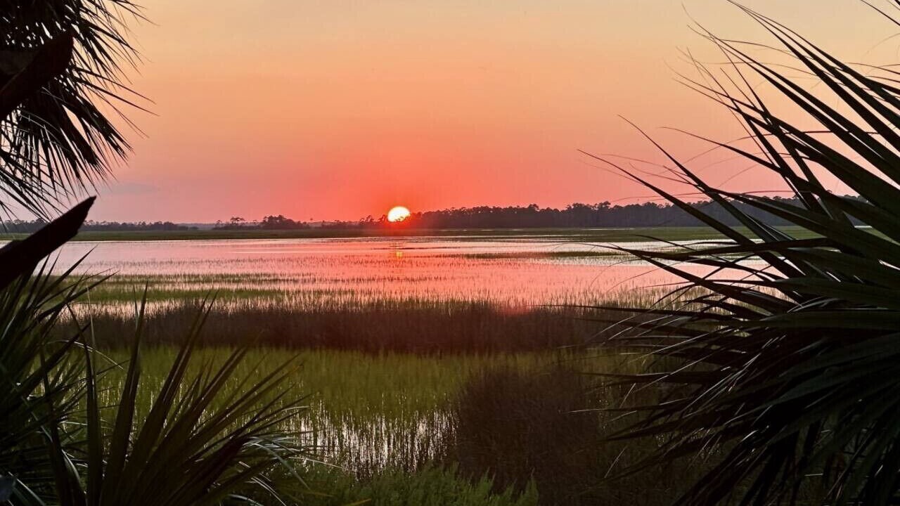 Photo of Others in Saint Helena Island
