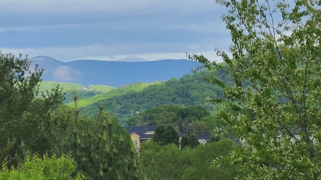 Photo of Others in Weaverville
