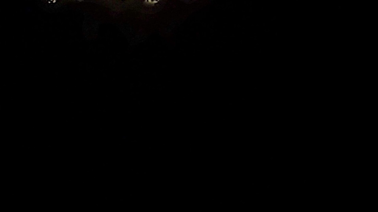 Photo of Others in Weaverville