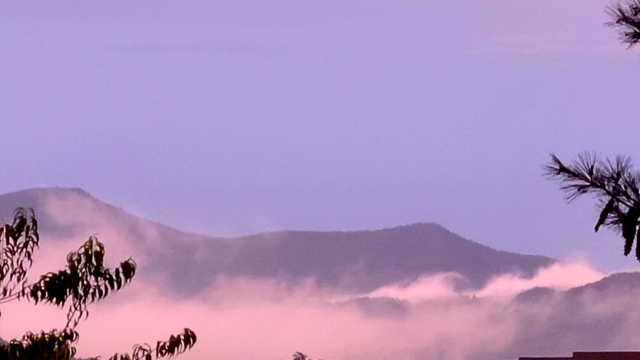 Photo of Others in Weaverville