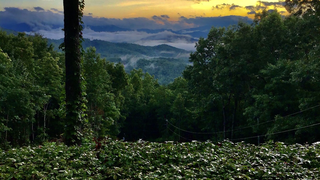Photo of Others in Bryson City