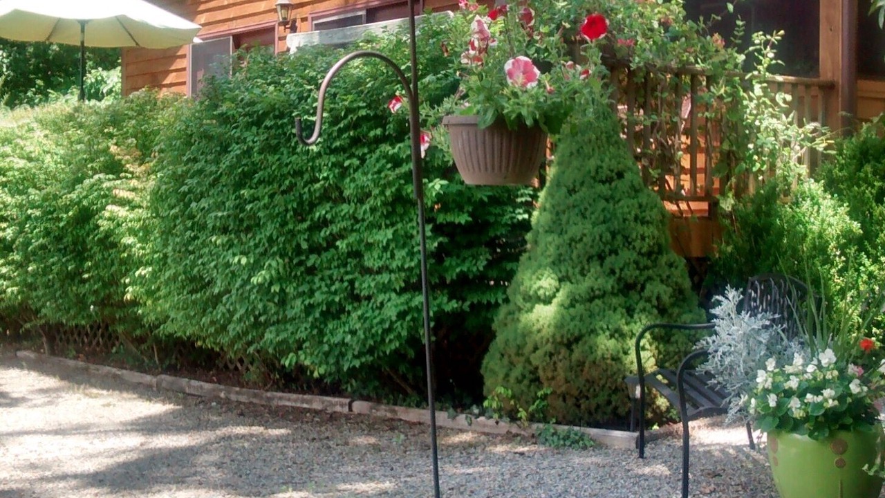 Photo of Outdoor in Bryson City