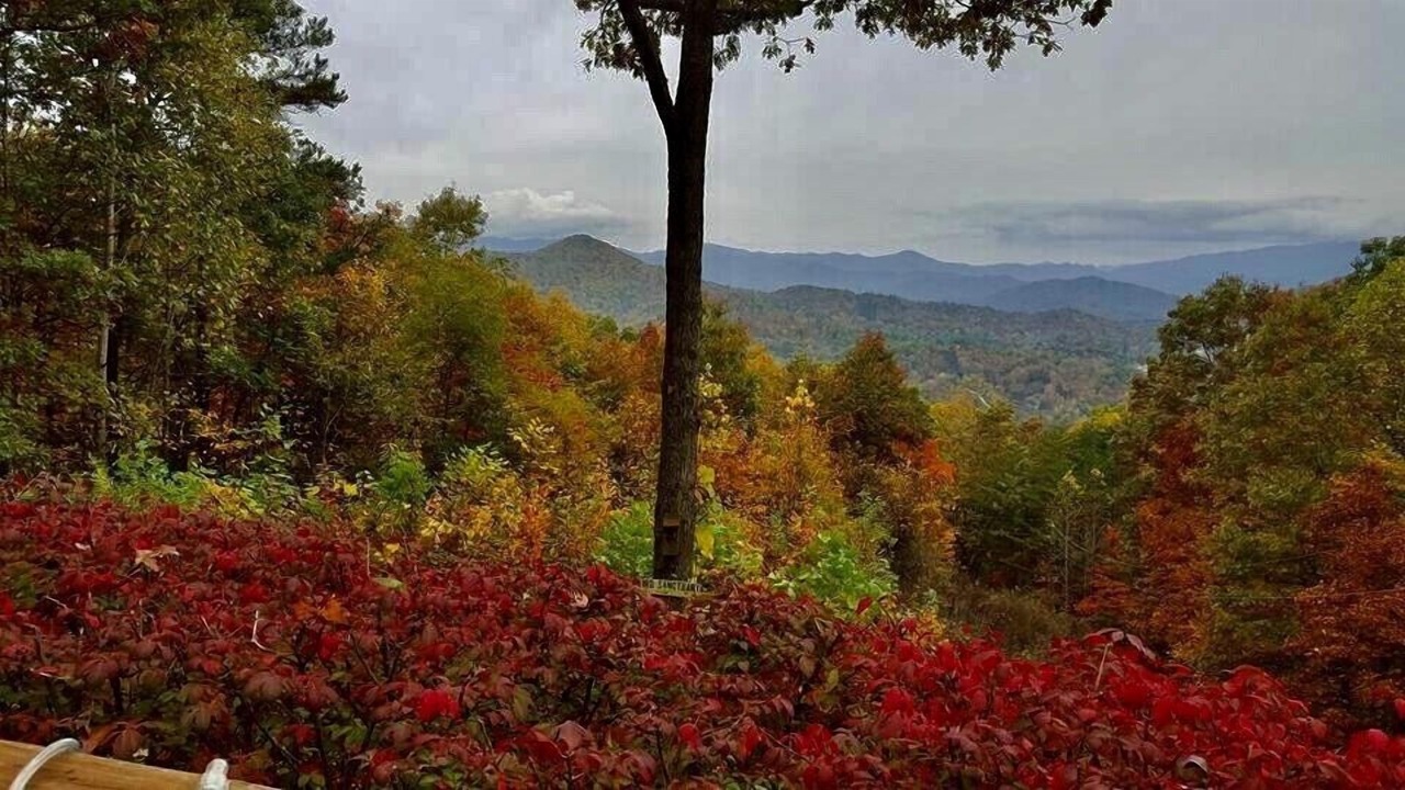 Photo of Others in Bryson City