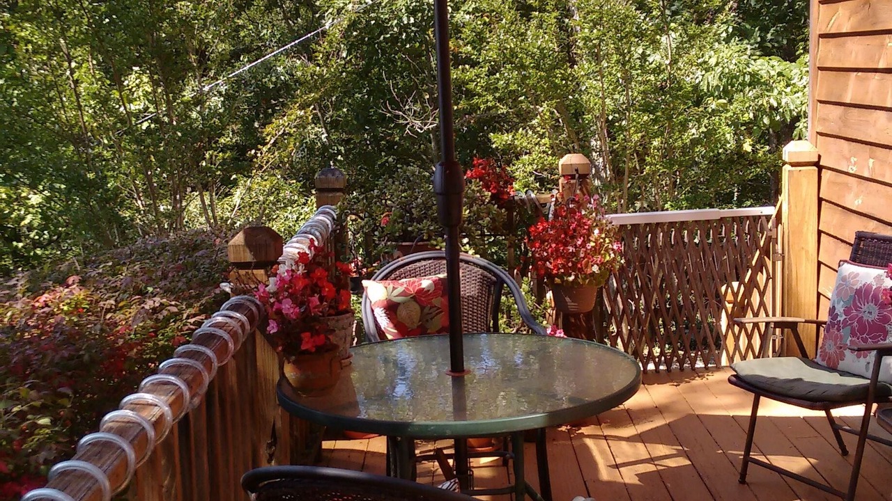 Photo of Others in Bryson City