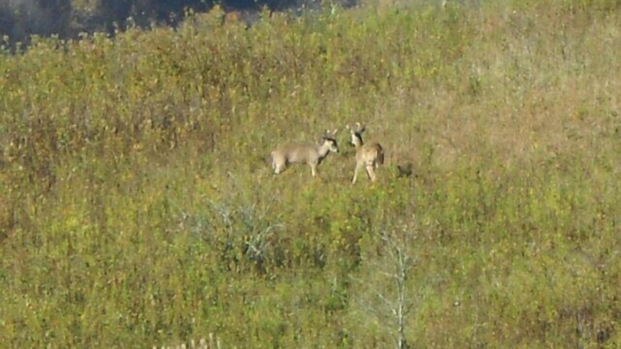 Photo of Others in Vilas