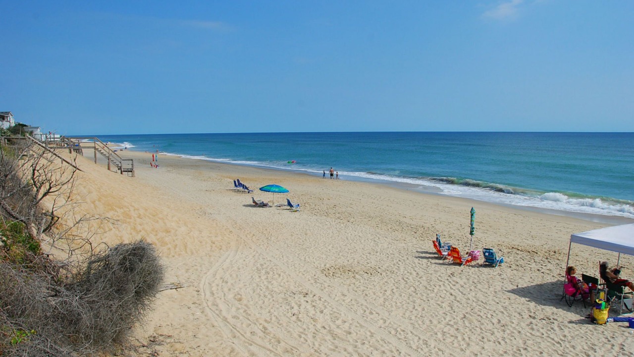 Photo of Others in Carolina Dunes