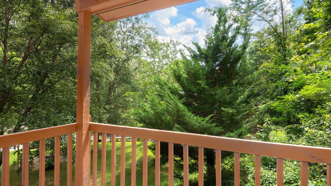 Photo of Outdoor in Weaverville