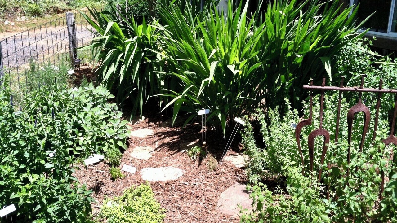 Photo of Outdoor in Bakersville