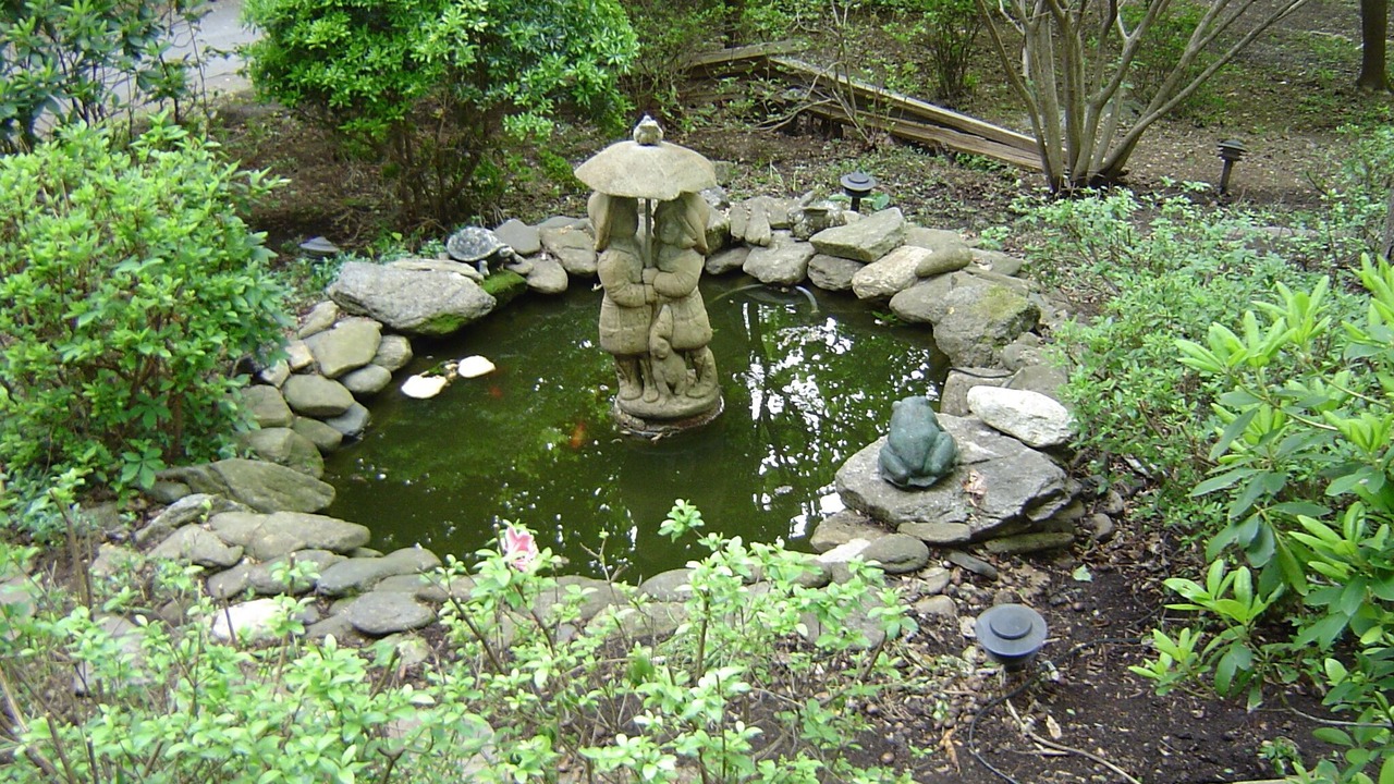Photo of Outdoor in Lake Lure
