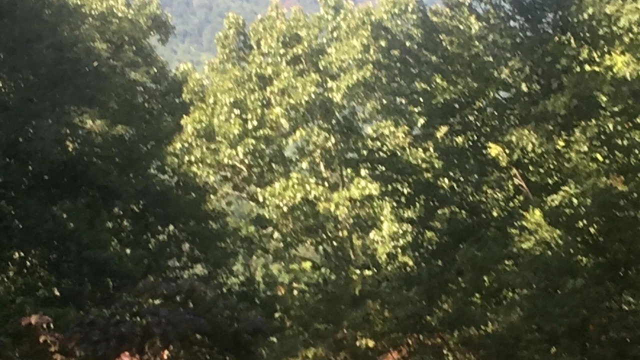 Photo of Others in Lake Lure