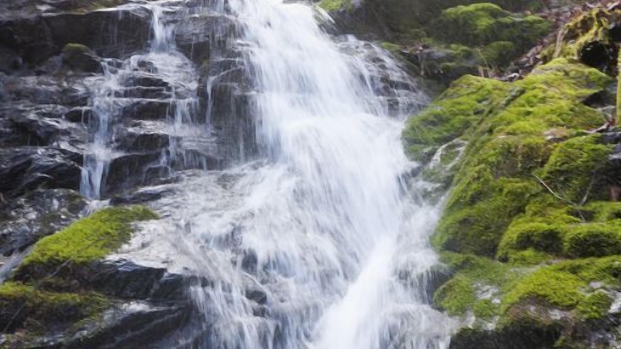 Photo of Others in Hot Springs