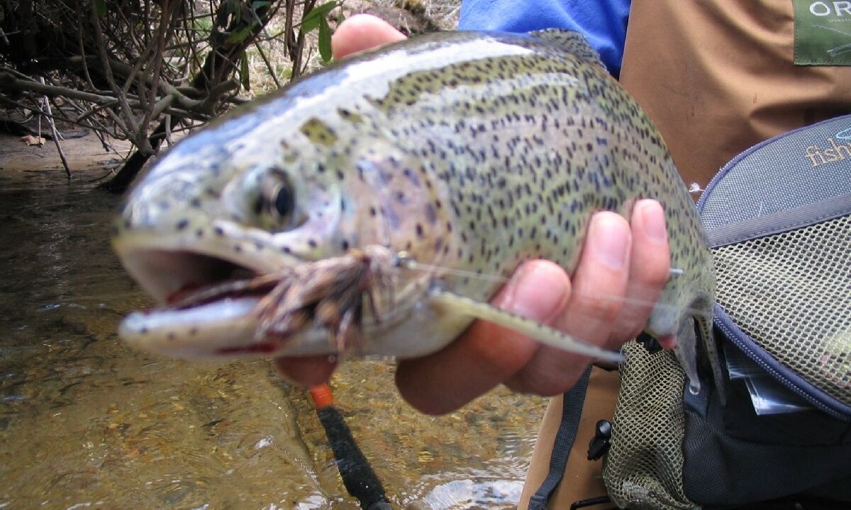 Photo of Others in Indian Rock Springs