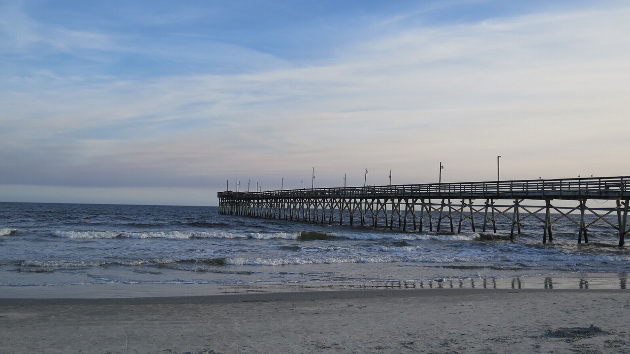 Photo of Others in Sea Trail