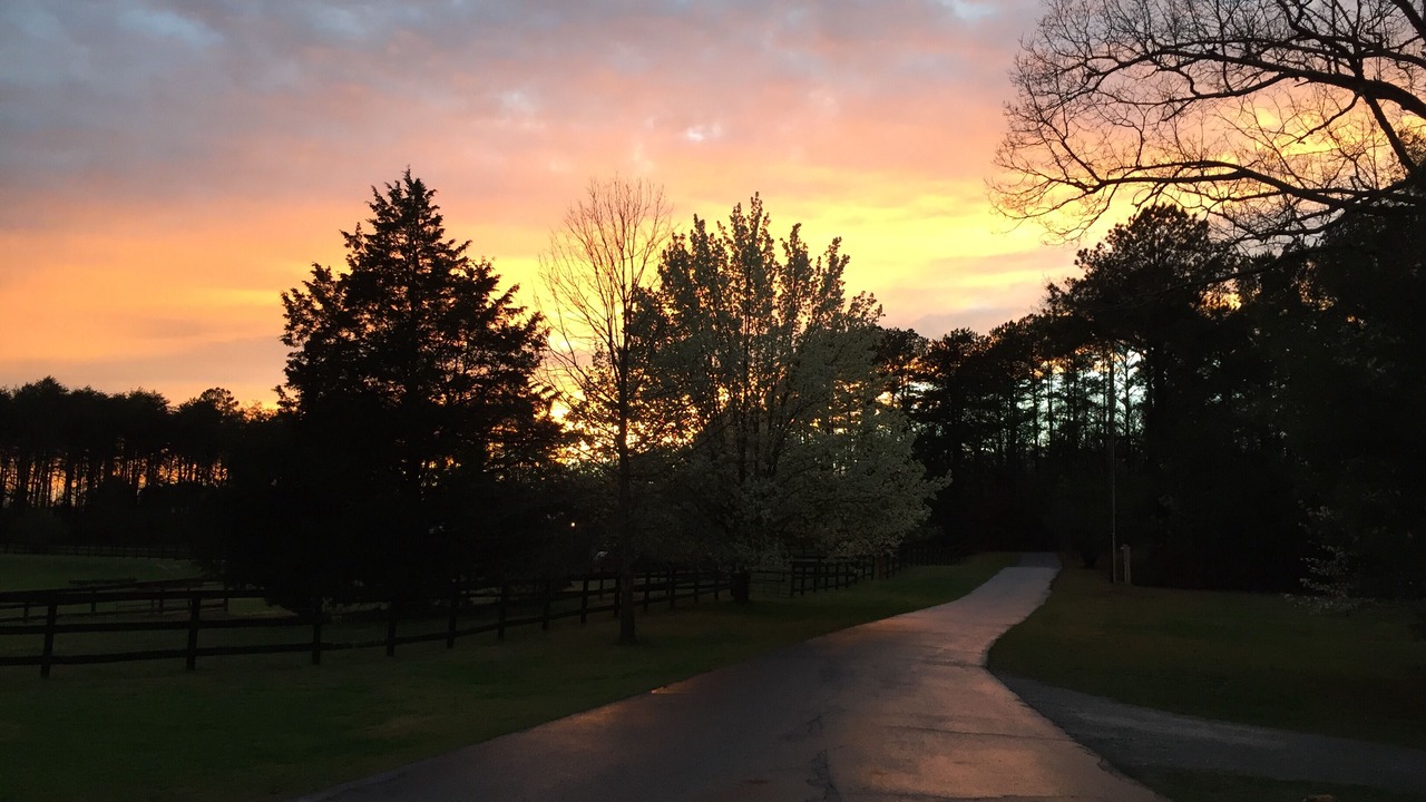 Photo of Outdoor in Tryon