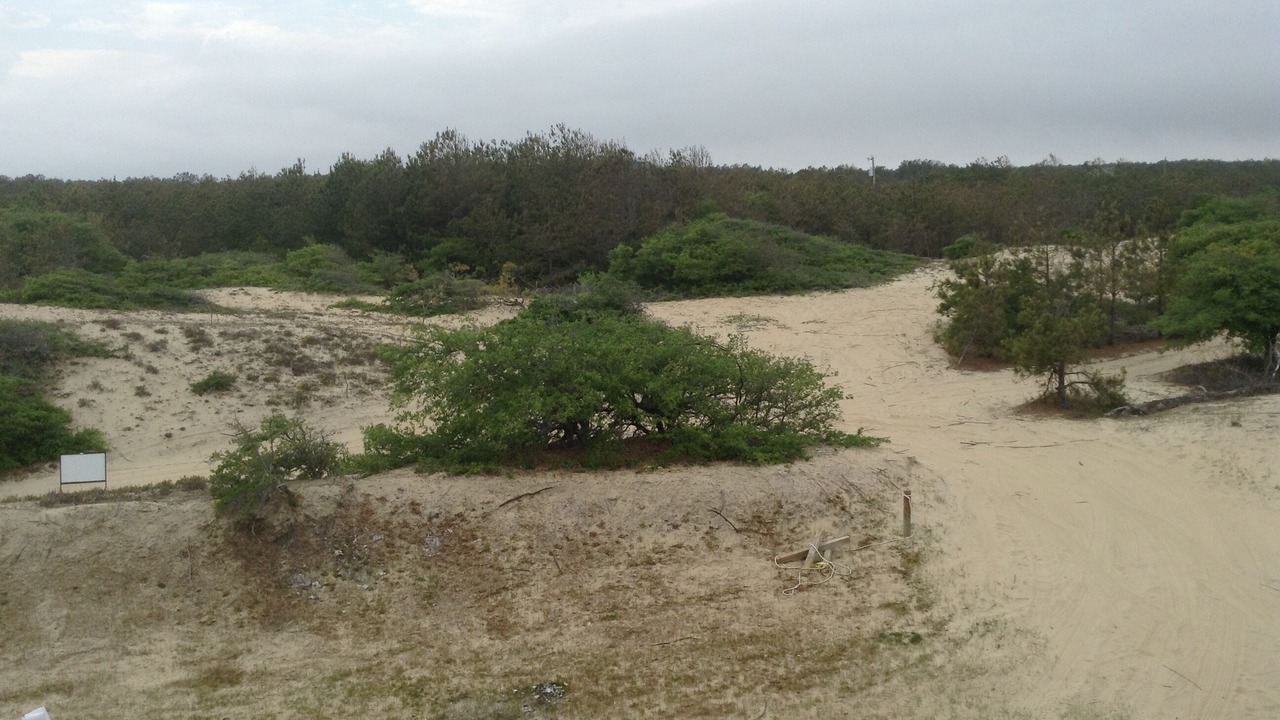 Photo of Others in Carova Beach