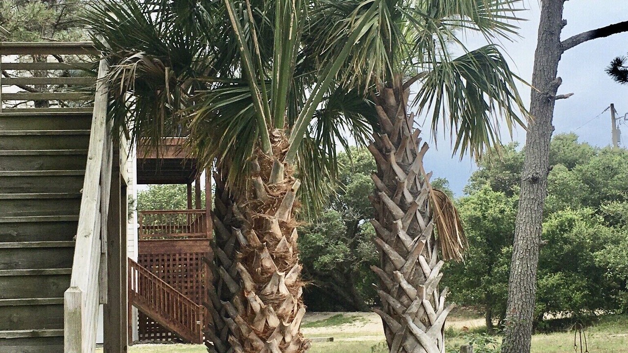Photo of Others in Carova Beach
