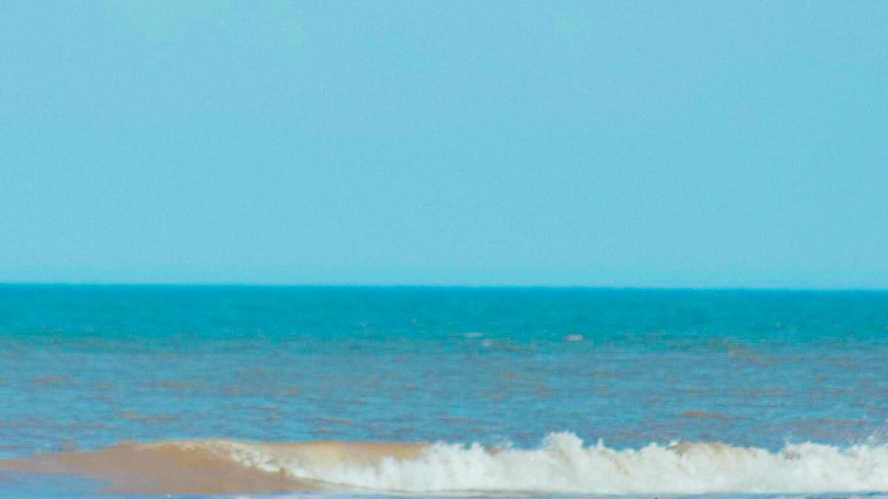 Photo of Others in Carova Beach