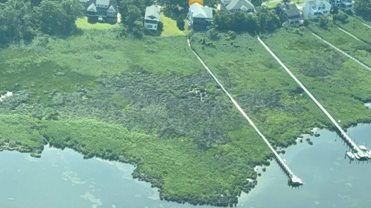Photo of Outdoor in Colington