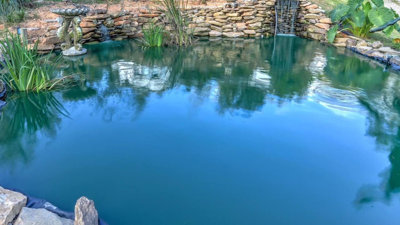 Photo of Outdoor in Candler