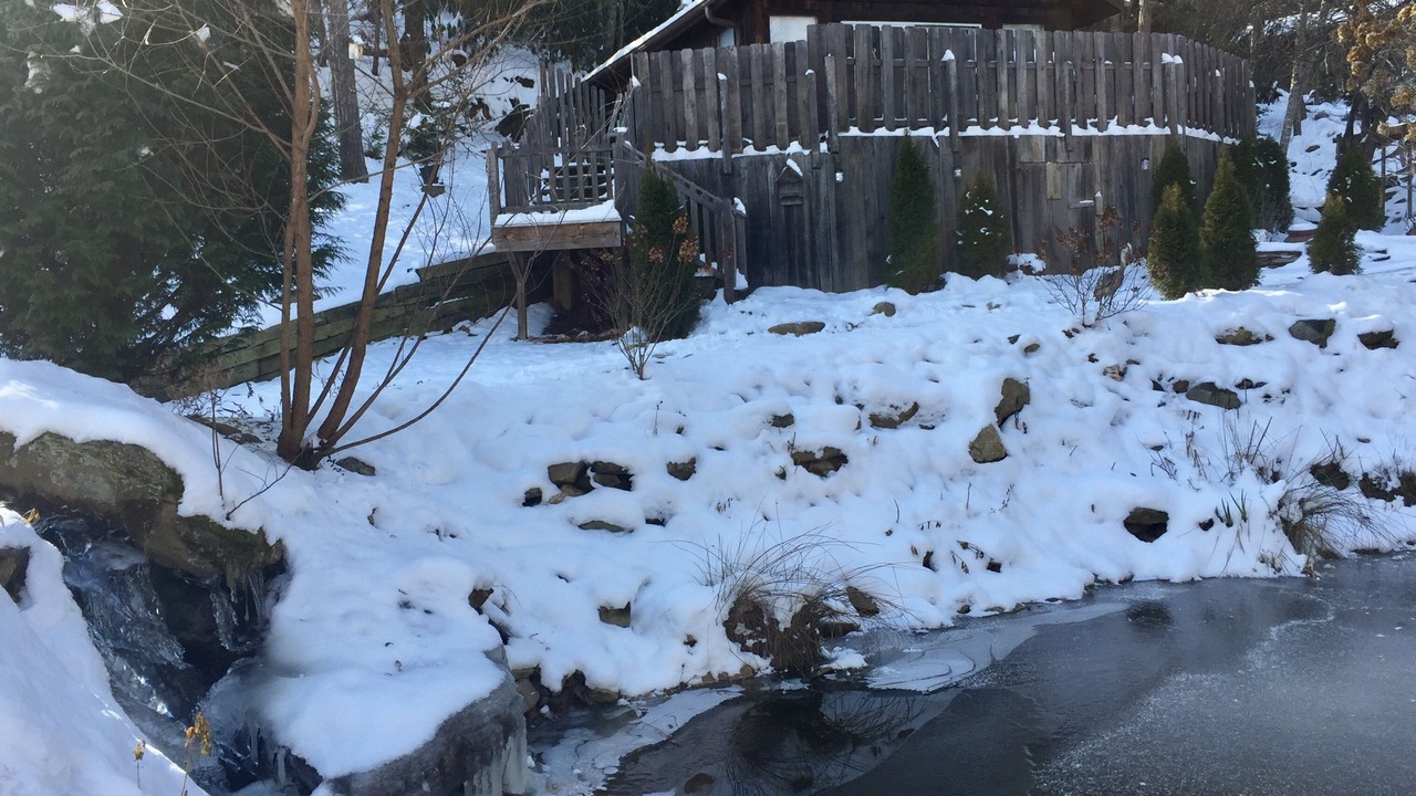 Photo of Outdoor in Fairview