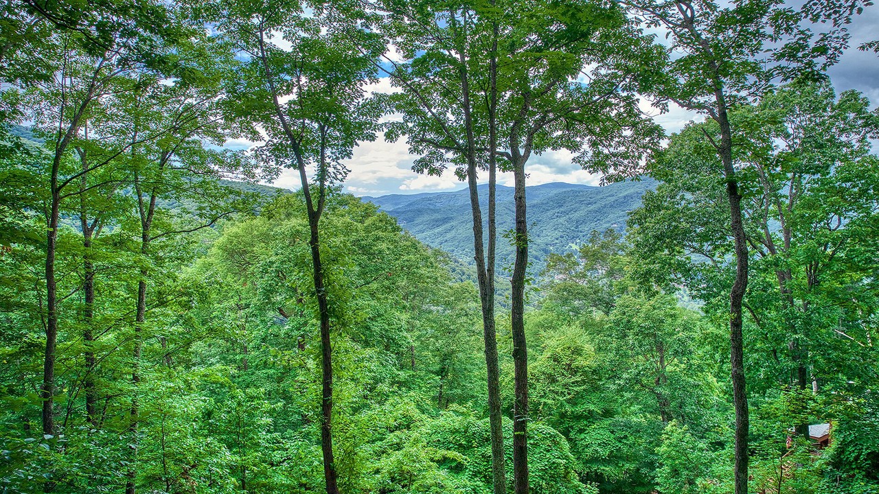 Photo of Outdoor in Waynesville
