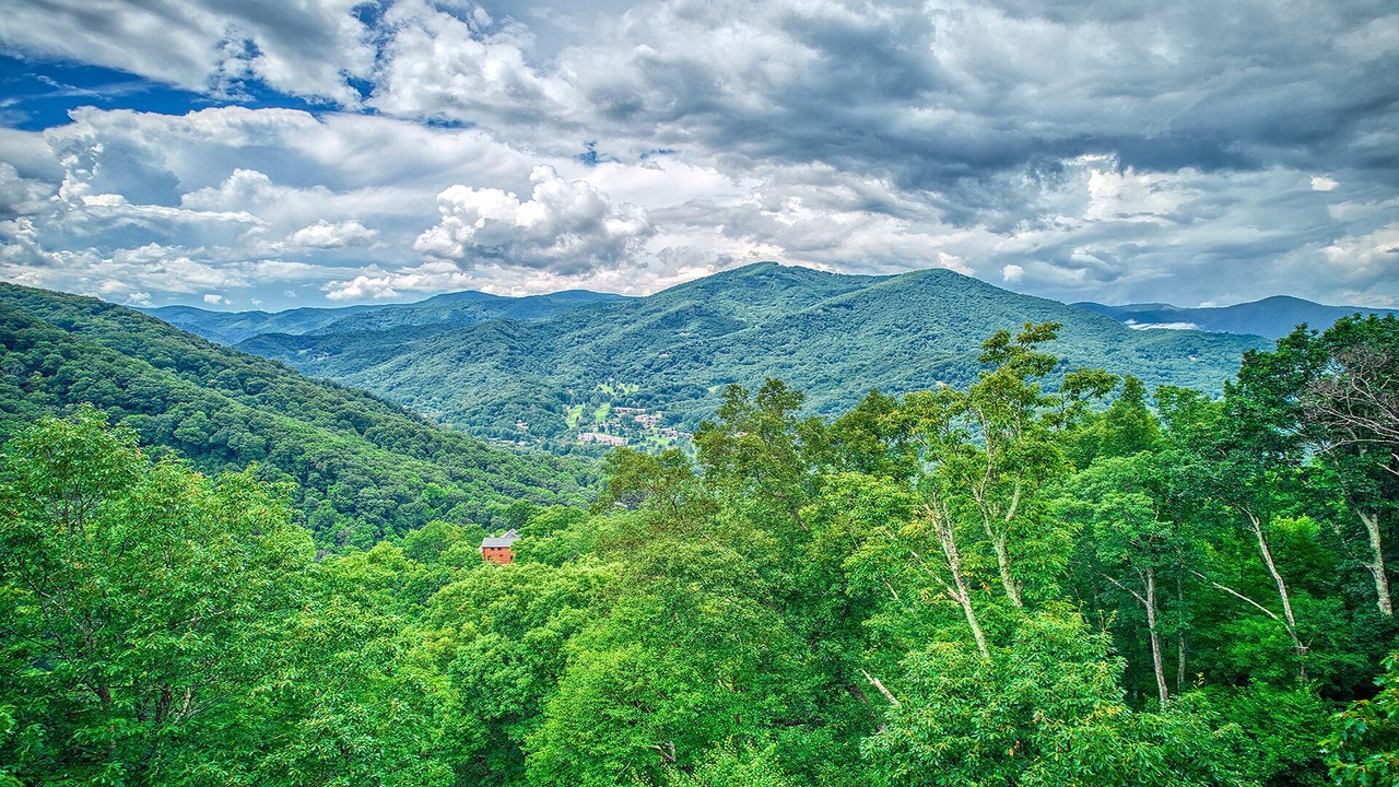 Photo of Others in Waynesville