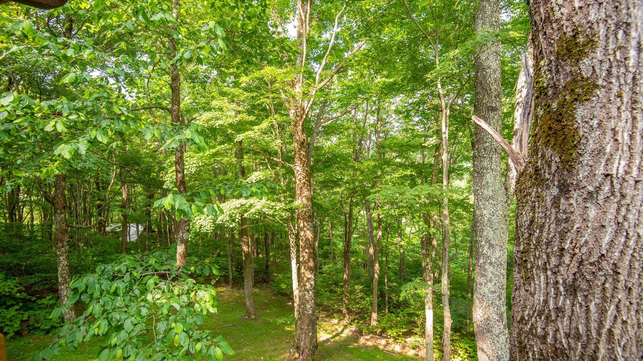 Photo of Others in Buck Mountain