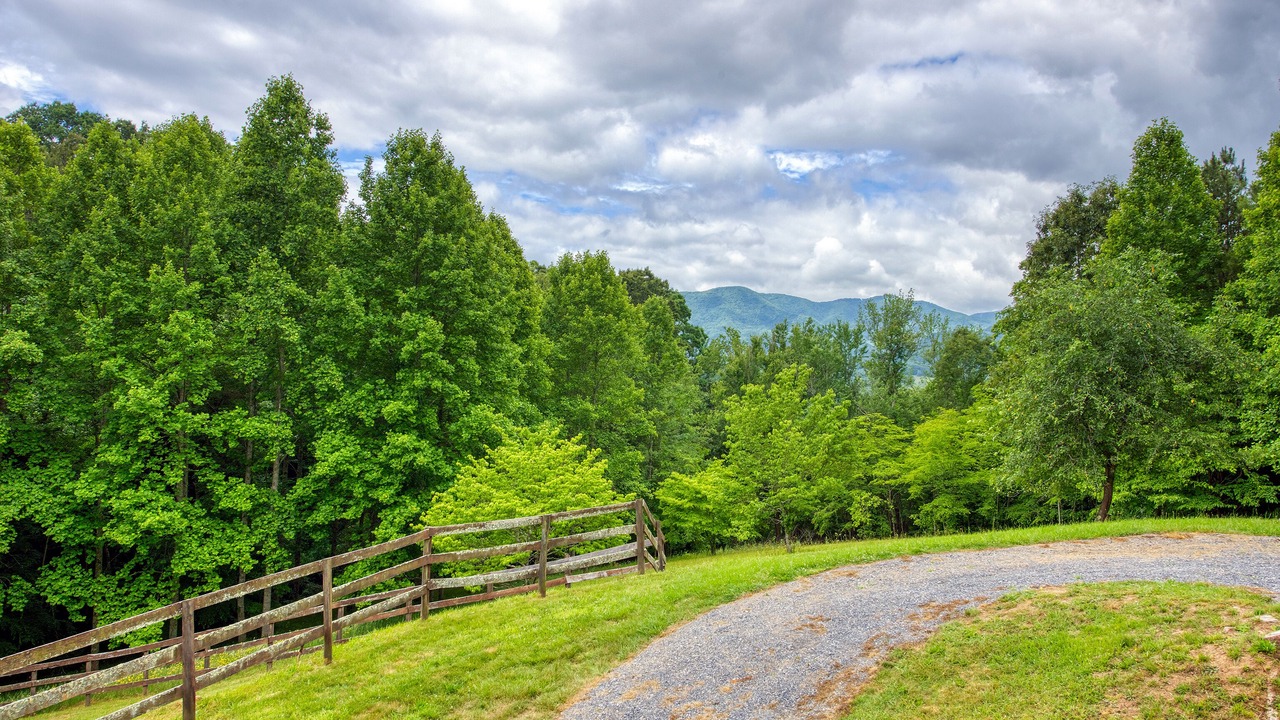 Photo of Outdoor in Maple Springs