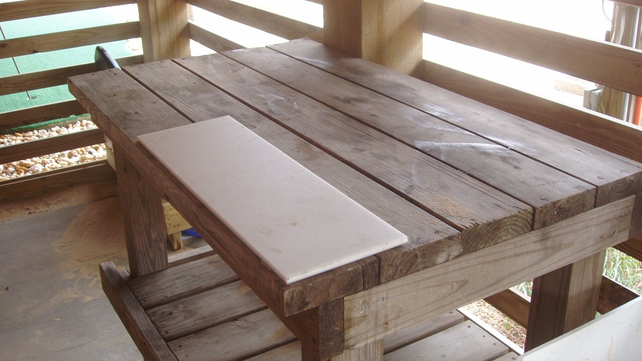Photo of Outdoor in Nags Head