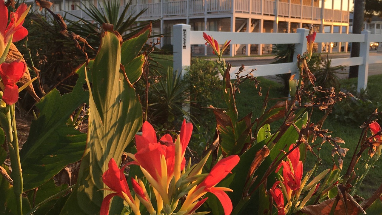 Photo of Outdoor in Atlantic Beach
