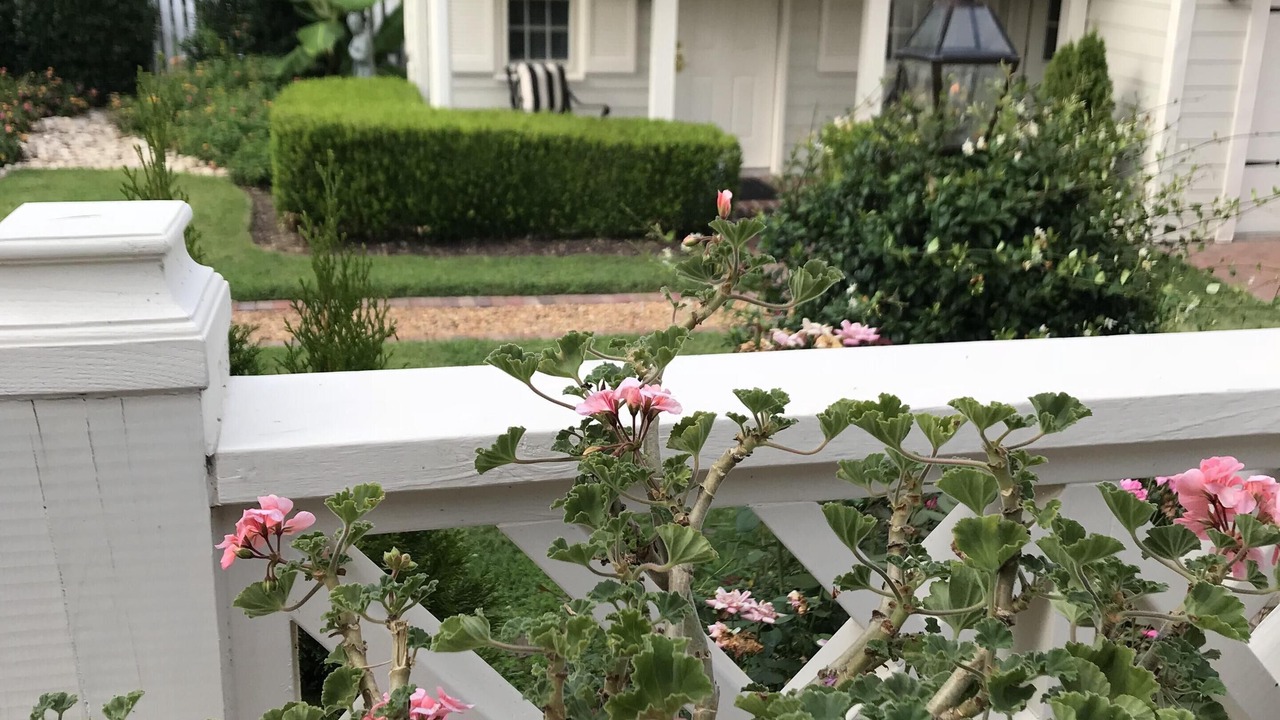 Photo of Others in Edenton