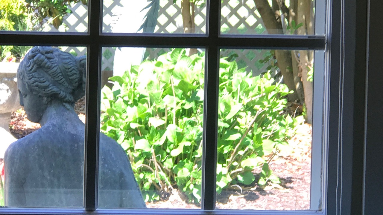 Photo of Bedroom in Edenton