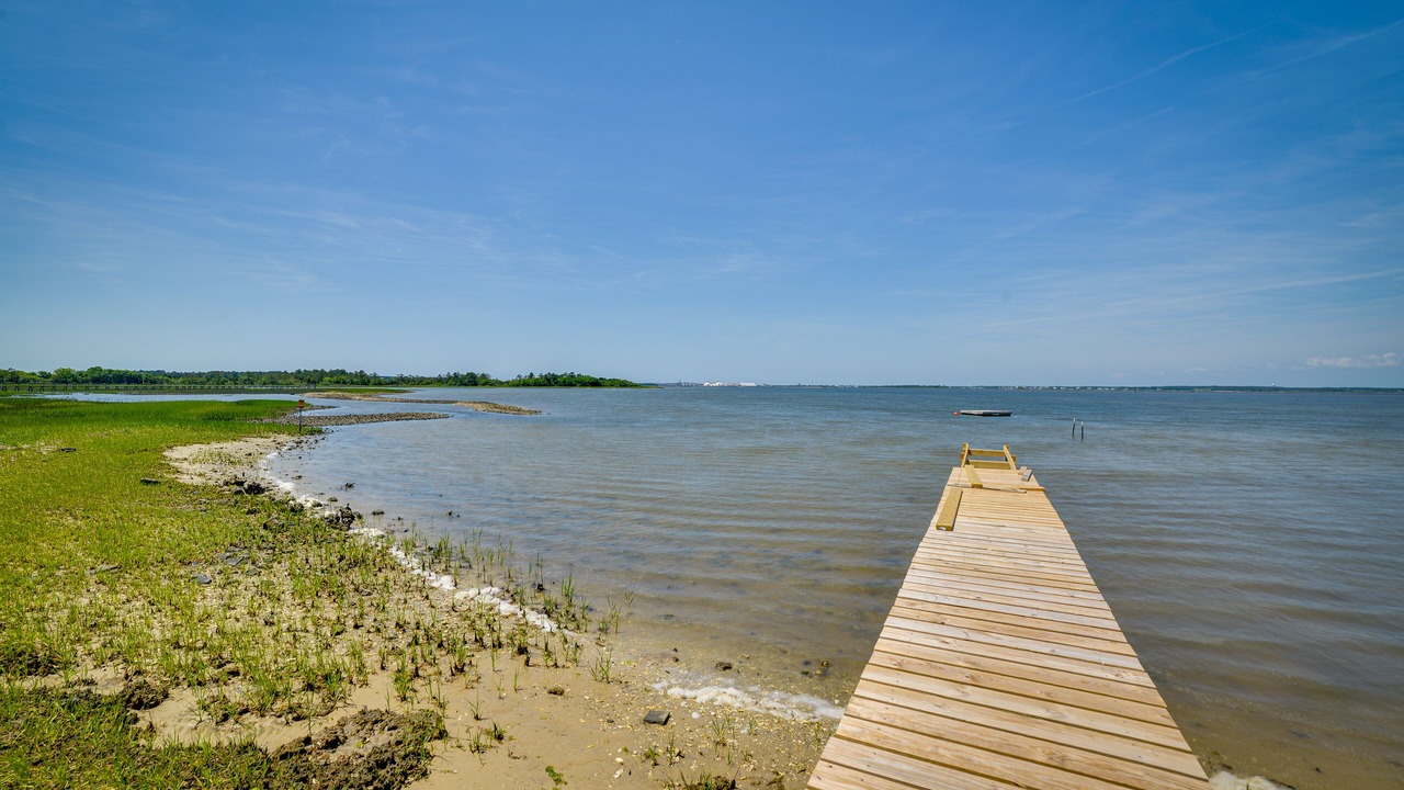Photo of Outdoor in Morehead City