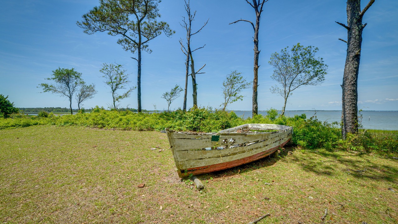 Photo of Others in Morehead City