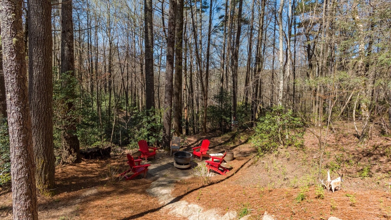 Photo of Outdoor in Sapphire