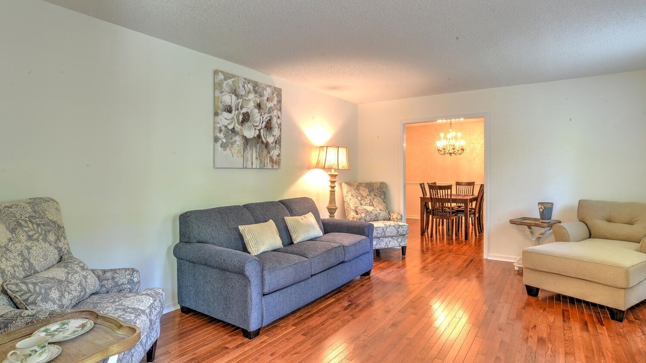 Photo of Livingroom in Skyland