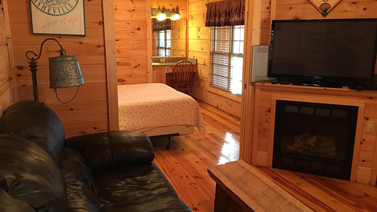 Photo of Livingroom in Candler