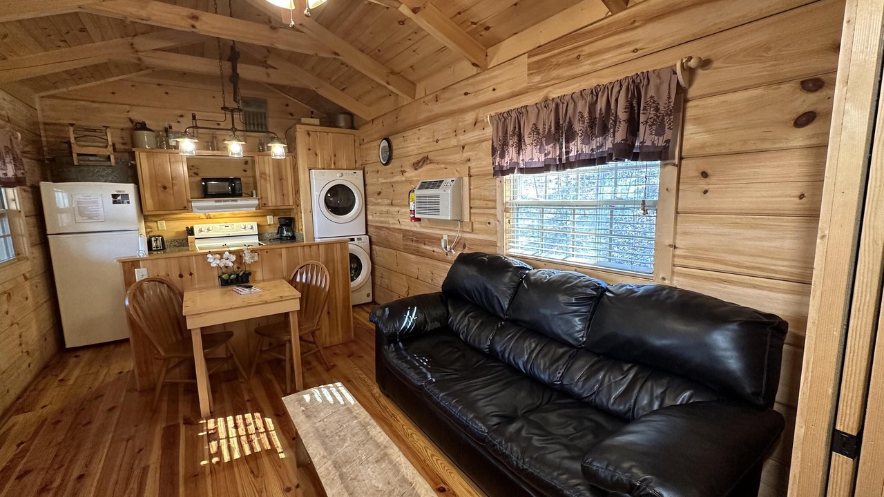 Photo of Livingroom in Candler