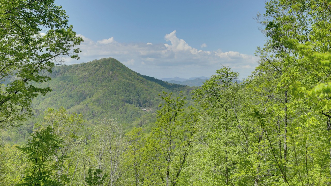 Photo of Others in Bryson City
