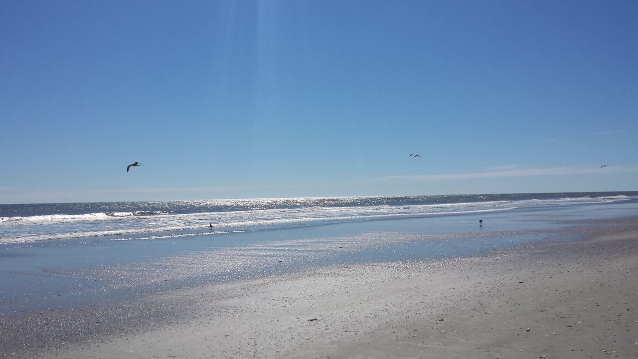Photo of Others in Corolla Village