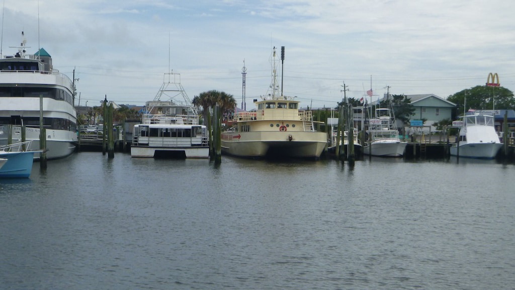 Photo of Others in North Carolina Coast