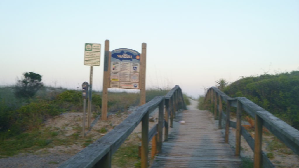 Photo of Others in North Carolina Coast