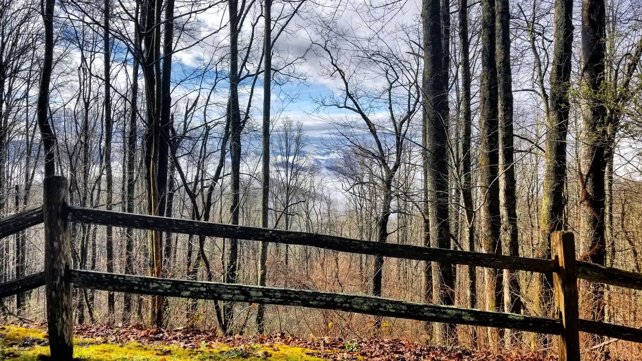 Photo of Others in Sylva